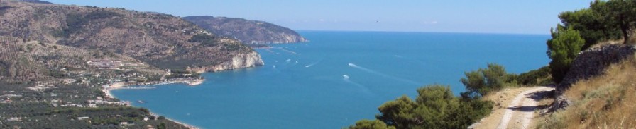 Questa immagine ha l'attributo alt vuoto; il nome del file è gargano_puglia.jpg