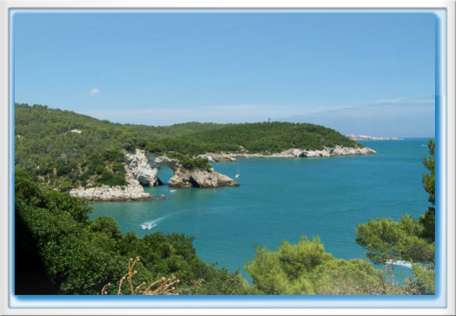 Questa immagine ha l'attributo alt vuoto; il nome del file è gargano_puglia_italia.png